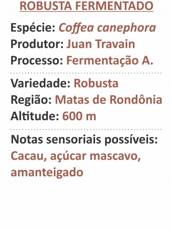Robusta fermentado
